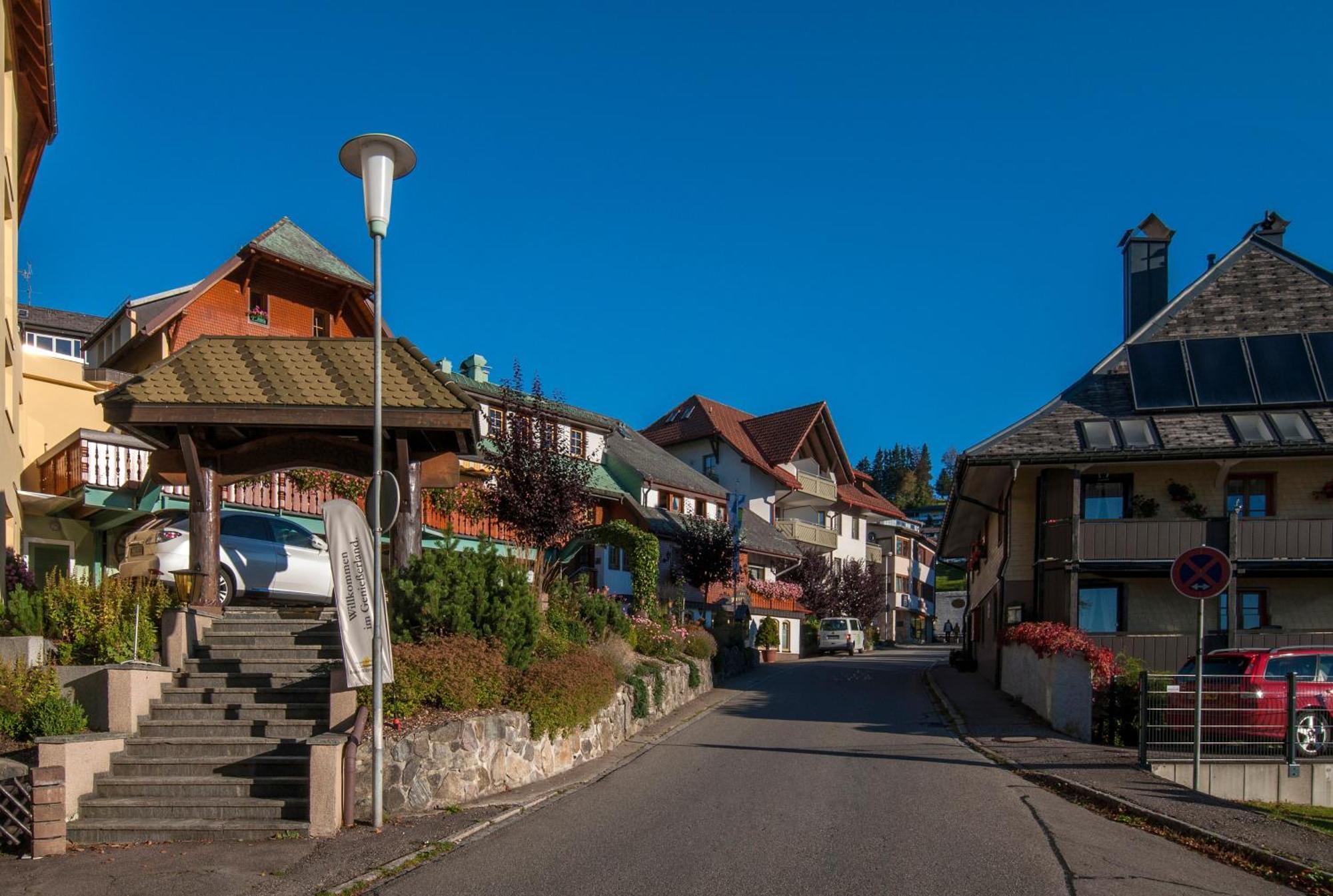 Apartment 06 - Ferienresidenz Roseneck, 2 Schlafzimmer, Mit Schwimmbad In Todtnauberg Bei Feldberg Eksteriør billede