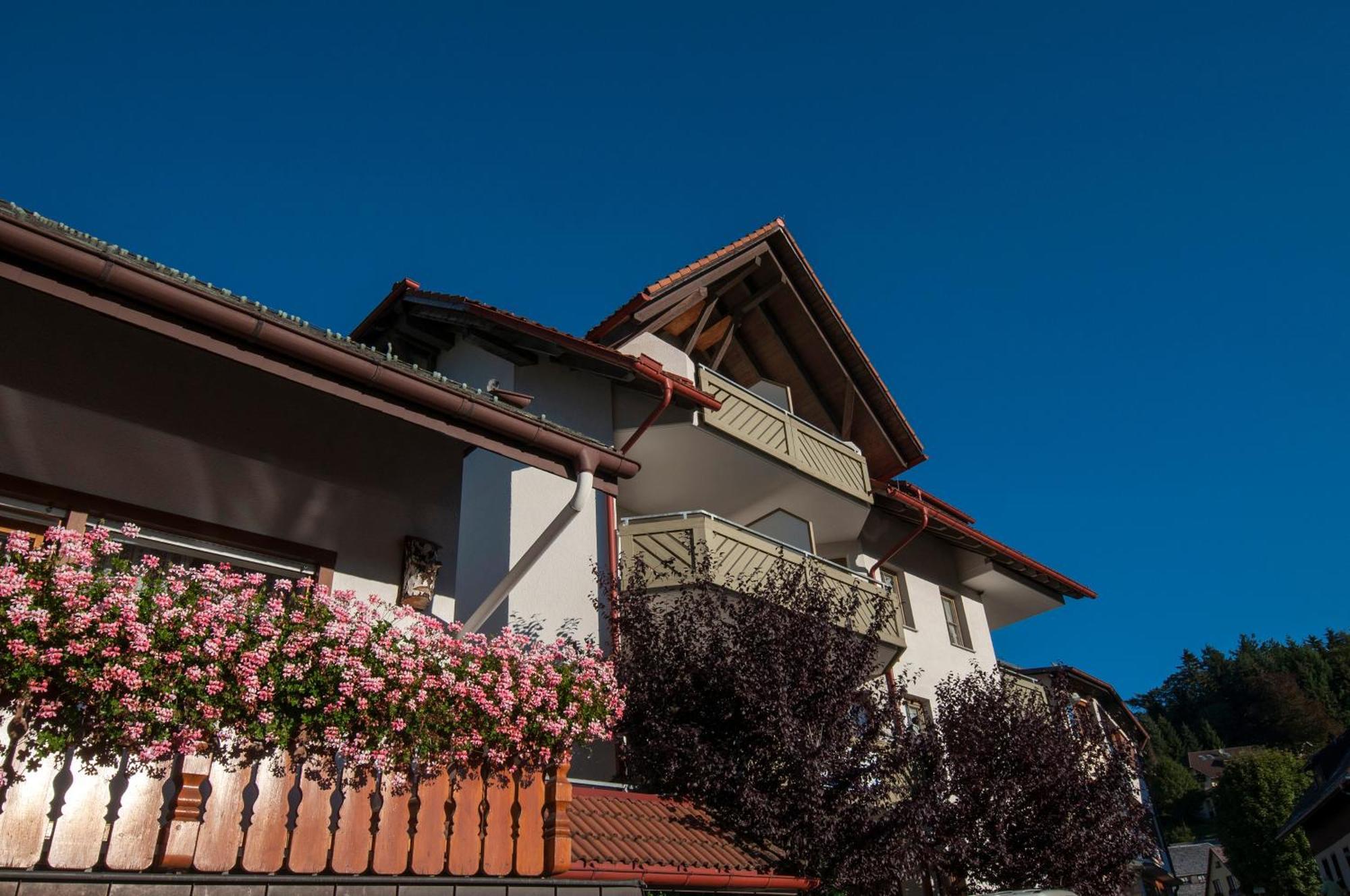 Apartment 06 - Ferienresidenz Roseneck, 2 Schlafzimmer, Mit Schwimmbad In Todtnauberg Bei Feldberg Eksteriør billede