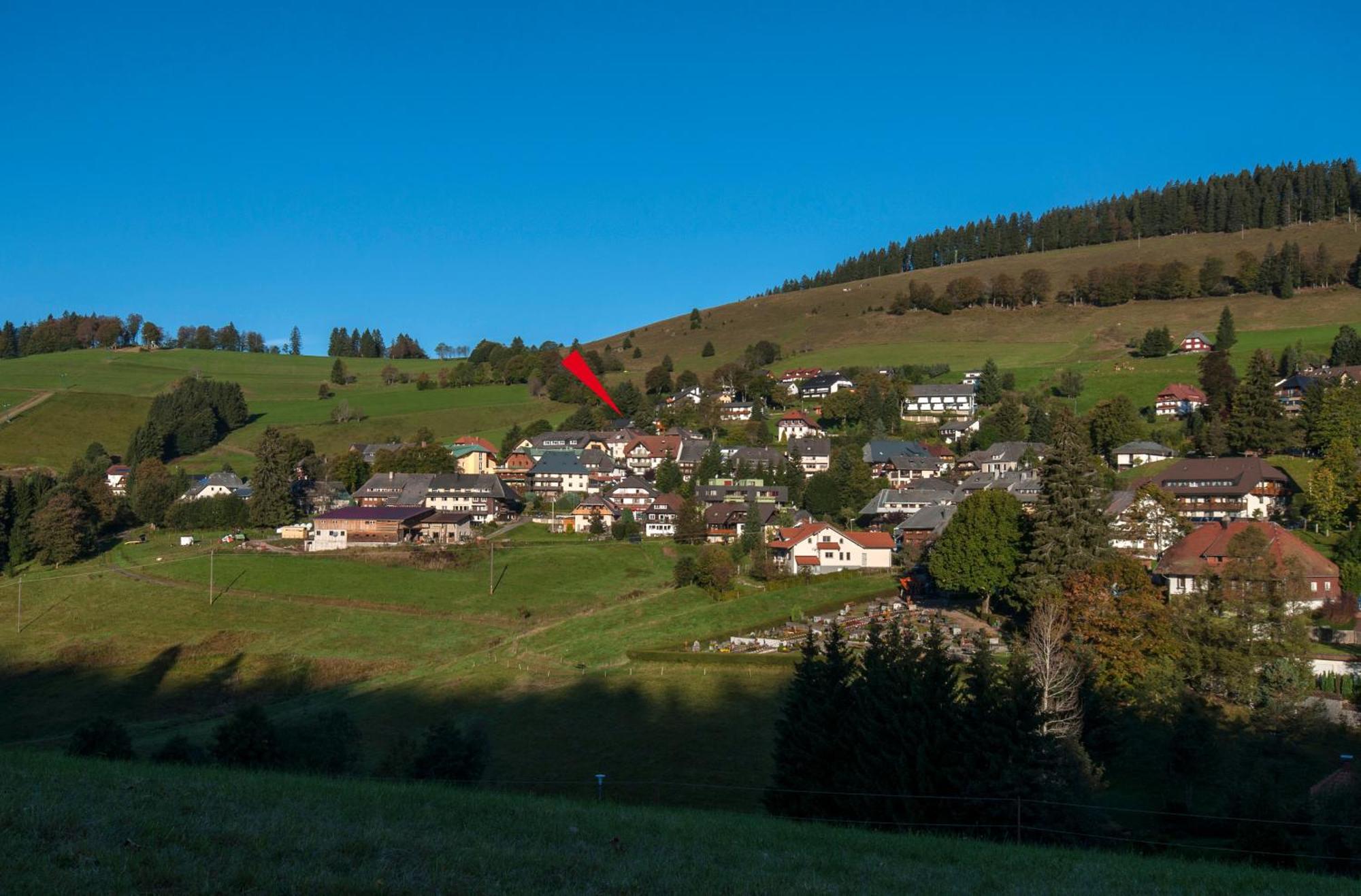 Apartment 06 - Ferienresidenz Roseneck, 2 Schlafzimmer, Mit Schwimmbad In Todtnauberg Bei Feldberg Eksteriør billede