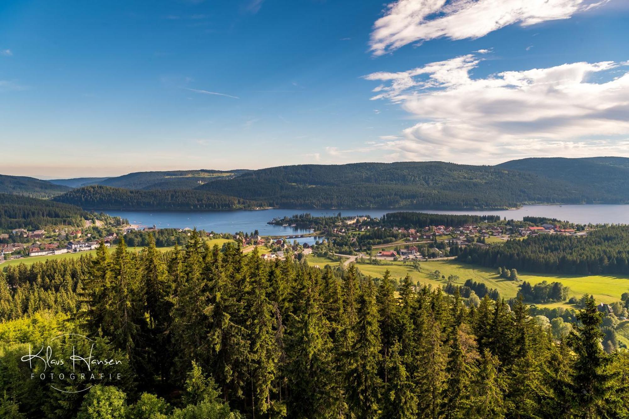 Apartment 06 - Ferienresidenz Roseneck, 2 Schlafzimmer, Mit Schwimmbad In Todtnauberg Bei Feldberg Eksteriør billede